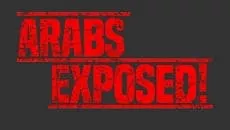 Порностудия: ArabsExposed